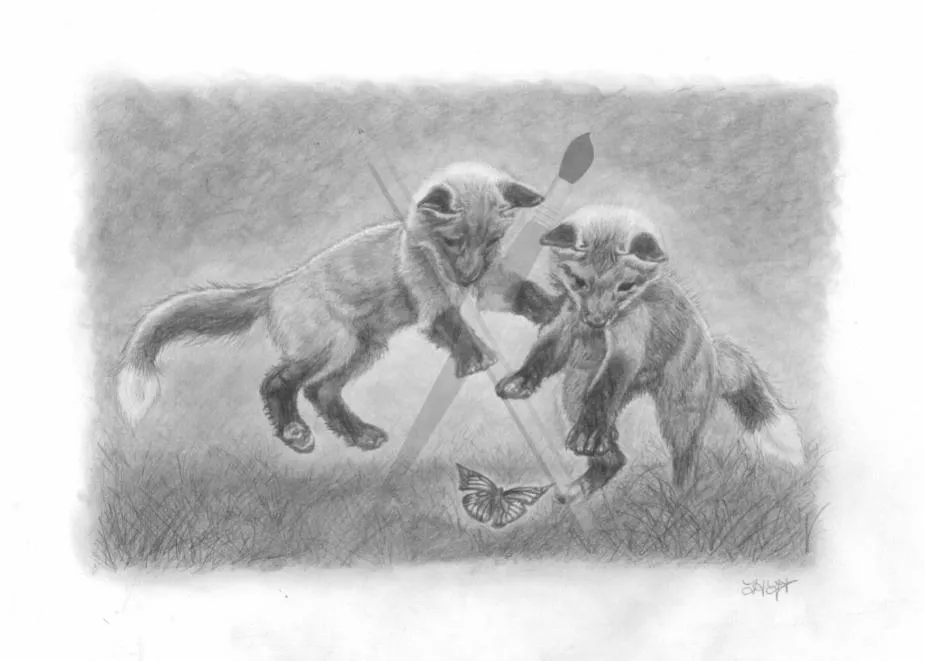 What!?, a pencil drawing of two fox cubs jumping above a butterfly