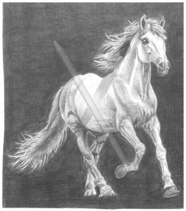 Homeward Bound, a pencil drawing of a galloping horse