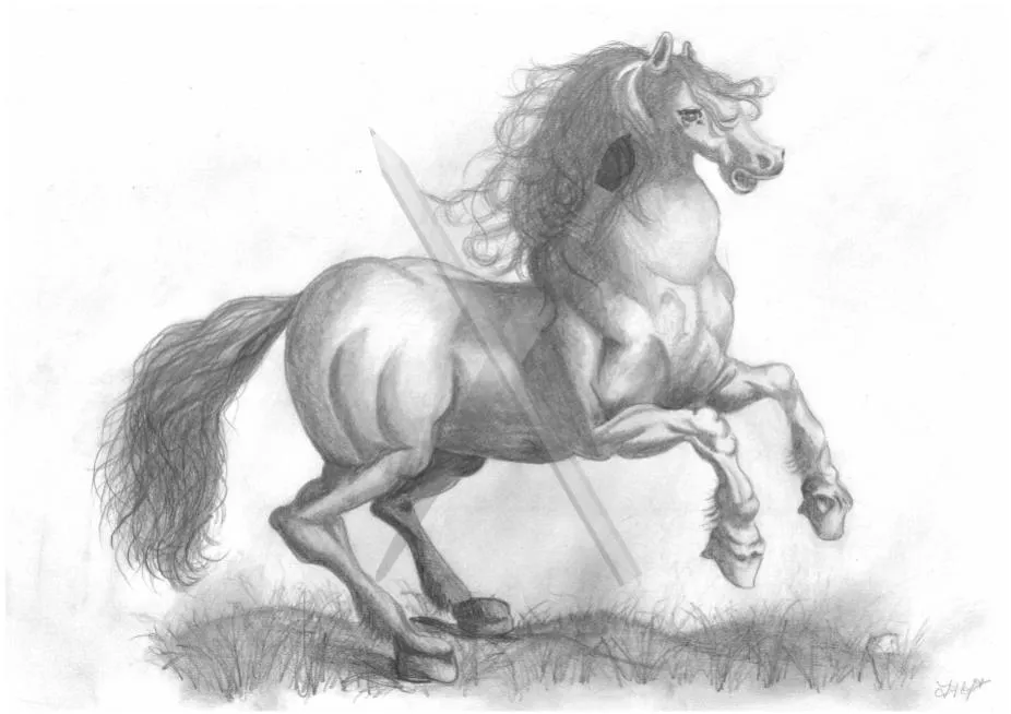 Wild One, a pencil drawing of a wild horse rearing with a flowing mane and tail